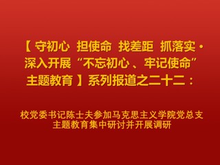 校党委书记陈士夫参加威廉希尔足球网党总支主题教育集中研讨并开展调研