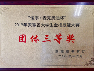 物理与电子信息学院学子在安徽省首届大学生金相技能大赛中喜获佳绩